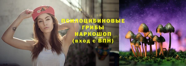 ECSTASY Новый Уренгой