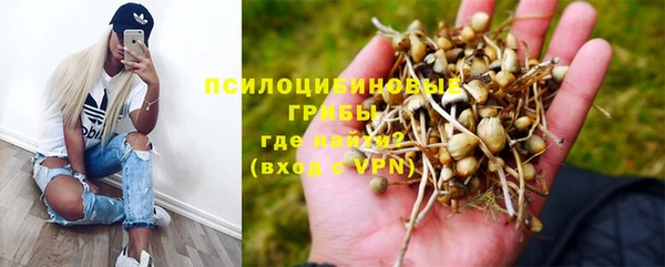 твердый Бронницы